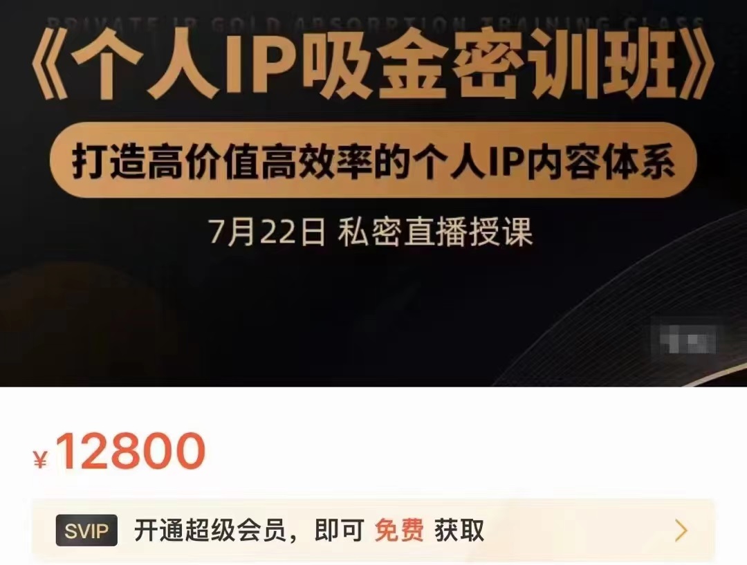 个人IP吸金密训班，打造高价值高效率的个人IP内容体系（价值12800元）-收集菌资源站