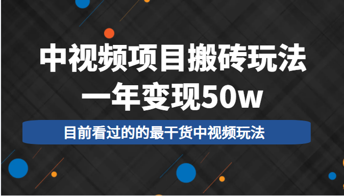 中视频项目搬砖玩法，一年变现50w，目前看过的的最干货中视频玩法-收集菌资源站