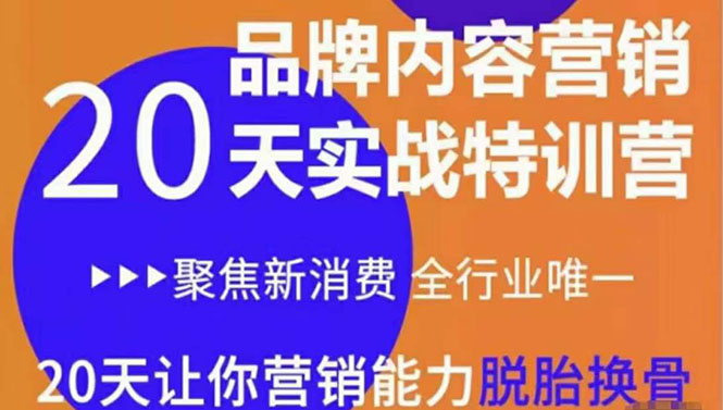 《内容营销实操特训营》20天让你营销能力脱胎换骨（价值3999）-收集菌资源站