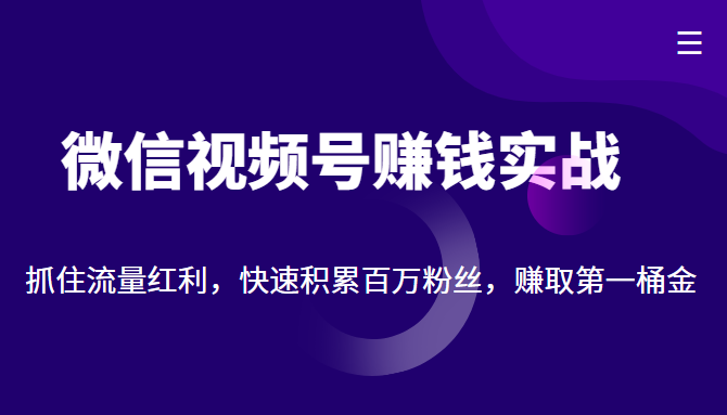 微信视频号赚钱实战：抓住流量红利，快速积累百万粉丝，赚取你的第一桶金-收集菌资源站