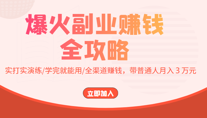 爆火副业赚钱全攻略：实打实演练/学完就能用/全渠道赚钱，带普通人月入３万元-收集菌资源站