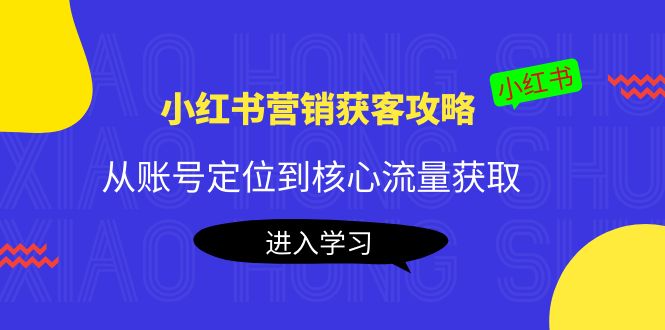 小红书营销获客攻略：从账号定位到核心流量获取，爆款笔记打造-收集菌资源站