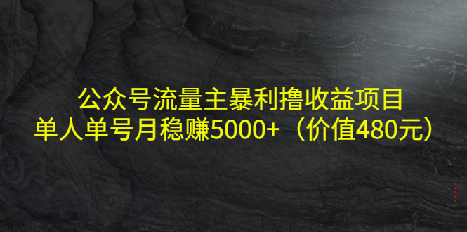 公众号流量主暴利撸收益项目，单人单号月稳赚5000+（价值480元）-收集菌资源站