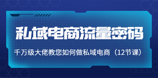 私域电商流量密码：千万级大佬教您如何做私域电商（12节课）-收集菌资源站