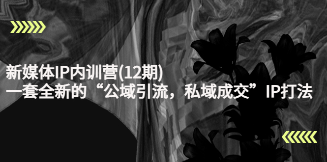 新媒体IP内训营(12期)，一套全新的“公域引流，私域成交”IP打法，直接带走-收集菌资源站