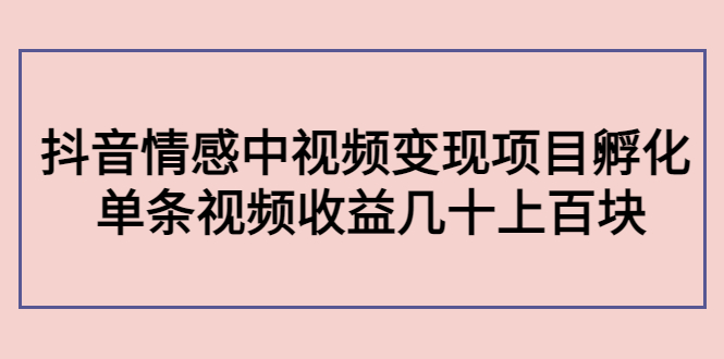副业孵化营第5期：抖音情感中视频变现项目孵化 单条视频收益几十上百-收集菌资源站