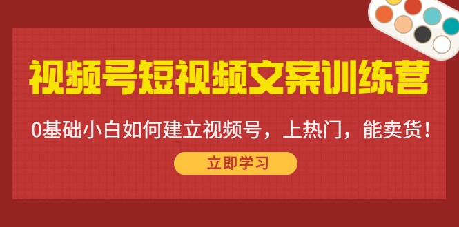 视频号短视频文案训练营：0基础小白如何建立视频号，上热门，能卖货！-收集菌资源站