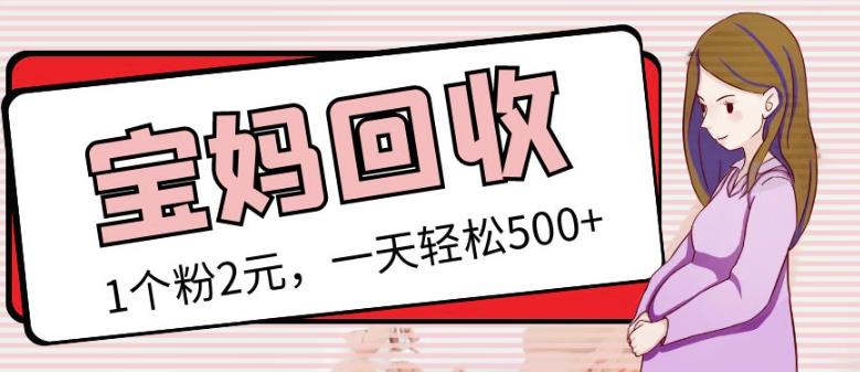 最新小红书母婴号宝妈粉回收项目，1个粉2元，一天轻松500+案例分享【粉丝包回收】-收集菌资源站