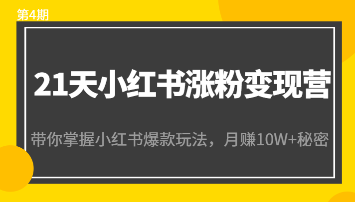 21天小红书涨粉变现营（第4期）：带你掌握小红书爆款玩法，月赚10W+秘密-收集菌资源站