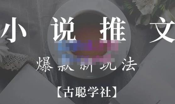 小说推文矩阵号群爆单新玩法，引流技巧+爆款实操+矩阵号玩法，百倍效益、百万播放秘笈-收集菌资源站