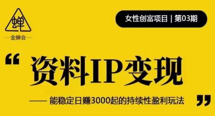 资料IP变现，能稳定日赚3000起的持续性盈利玩法-收集菌资源站