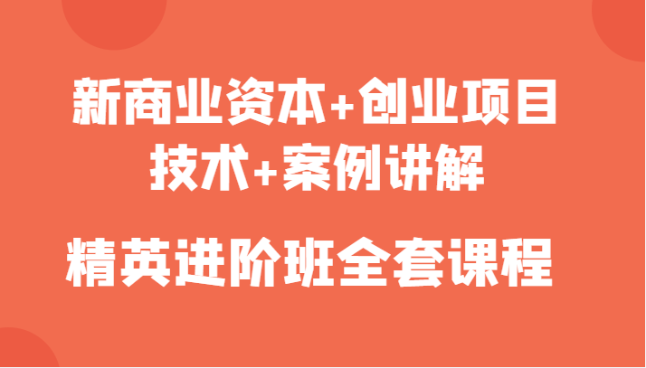 新商业资本+创业项目，技术+案例讲解，精英进阶班全套课程-收集菌资源站