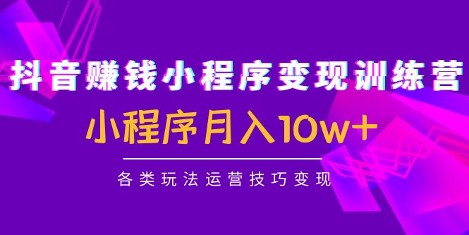 抖音赚钱小程序变现训练营：小程序月入10w+各类玩法运营技巧变现-收集菌资源站
