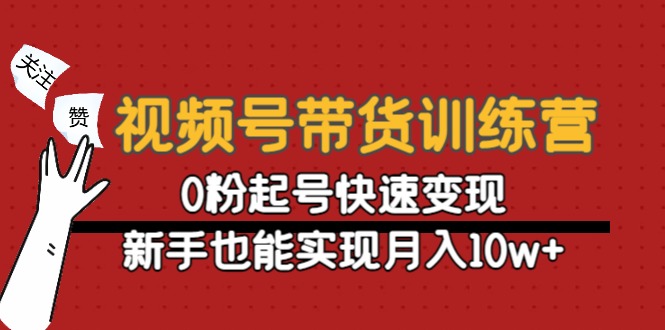 视频号带货训练营：0粉起号快速变现，新手也能实现月入10w+-收集菌资源站