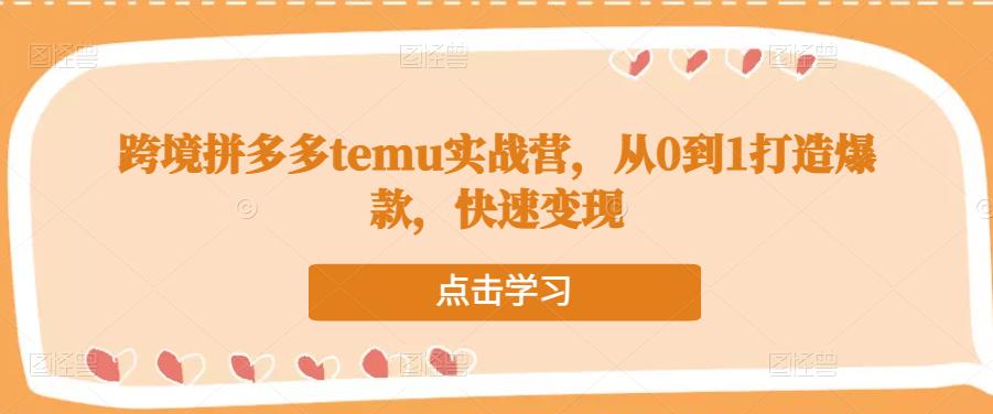 跨境拼多多temu实战营，从0到1打造爆款，快速变现-收集菌资源站