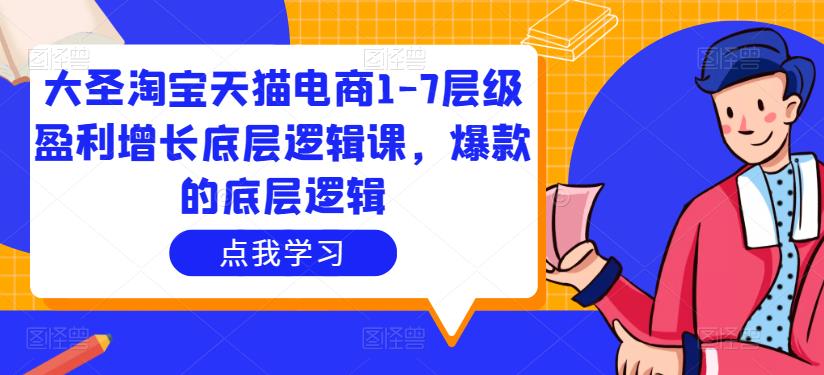 大圣淘宝天猫电商1-7层级盈利增长底层逻辑课，爆款的底层逻辑-收集菌资源站