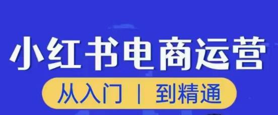 顽石小红书电商高阶运营课程，从入门到精通，玩法流程持续更新-收集菌资源站