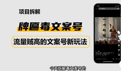 2023抖音快手毒文案新玩法，牌匾文案号，起号快易变现-收集菌资源站