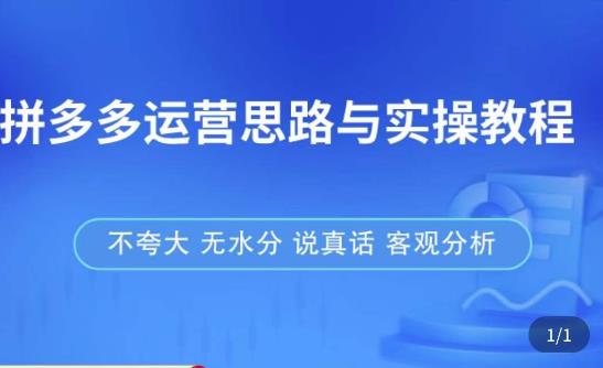 拼多多店铺运营思路与实操教程，快速学会拼多多开店和运营，少踩坑，多盈利-收集菌资源站