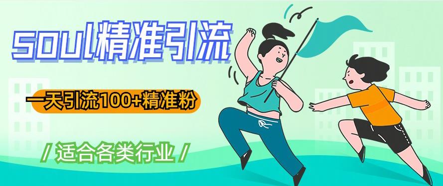 soul精准引流系列课程，一天引流100+精准粉，适合各类行业-收集菌资源站