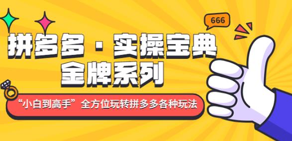 拼多多·实操宝典：金牌系列“小白到高手”带你全方位玩转拼多多各种玩法-收集菌资源站