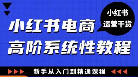 小红书电商高阶系统教程，新手从入门到精通系统课-收集菌资源站