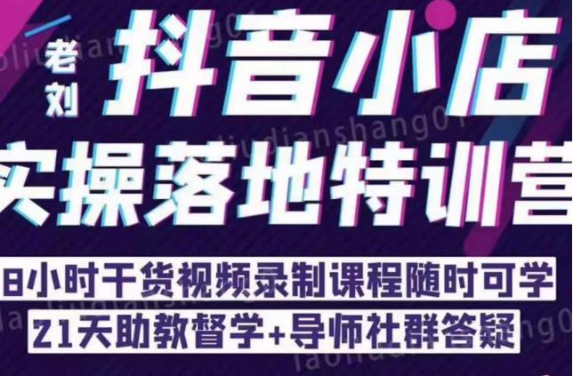 抖音小店实操落地特训营：抖音小店无货源精细化运营，抖店商品卡流量（22节）-收集菌资源站