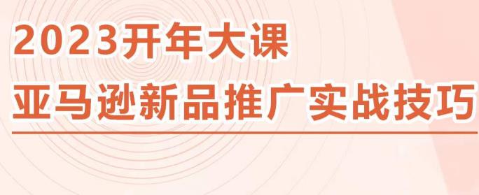 2023亚马逊新品推广实战技巧，线下百万美金课程的精简版，简单粗暴可复制，实操性强的推广手段-收集菌资源站
