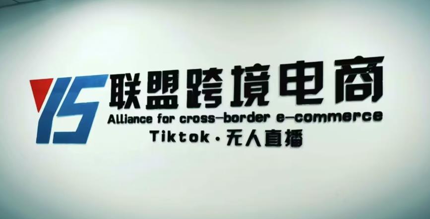 YS联盟·Tiktok无人直播，不出镜不剪辑不拍摄不发货无售后的跨境短视频躺赚玩法-收集菌资源站