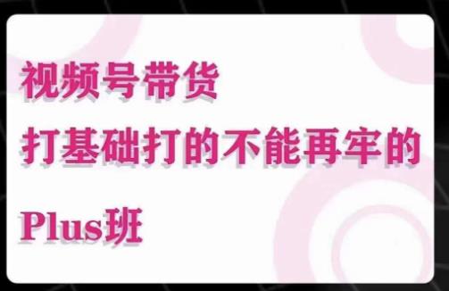 大播汇·视频号带货Puls班，视频号底层逻辑，起号自然流鱼塘等玩法-收集菌资源站