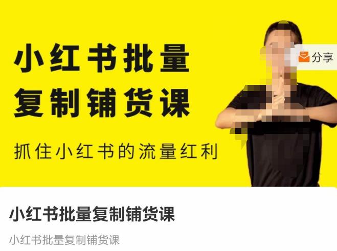 张宾·小红书批量复制铺货课，抓住小红书的流量红利 （更新2023年2月）-收集菌资源站