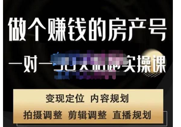 刘广标·同城房产号线上陪跑课，拍摄、剪辑、写文案、直播，做一个具有潜力价值的房产号-收集菌资源站