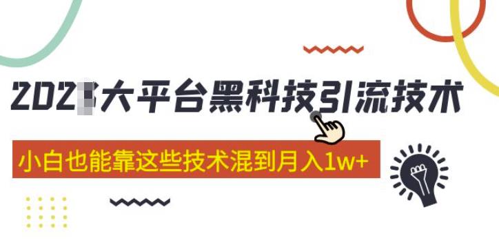 大平台黑科技引流技术，小白也能靠这些技术混到月入1w+(2022年的课程）-收集菌资源站