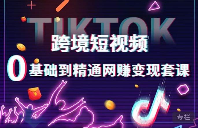 跨境短视频TIKTOK 0基础到精通网赚变现套课，跨境短视频独立站带货变现技巧-收集菌资源站