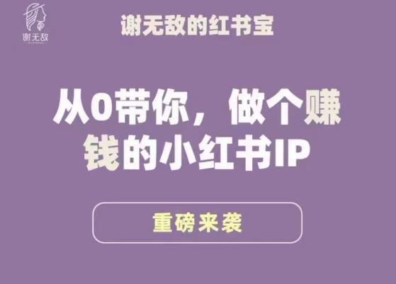 谢无敌·小红书运营大宝典，从0带你做个赚钱的小红书IP-收集菌资源站