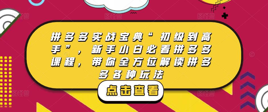 拼多多实战宝典“初级到高手”，新手小白必看拼多多课程，带你全方位解读拼多多各种玩法-收集菌资源站