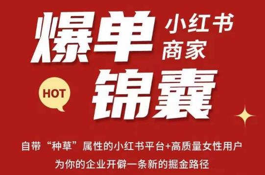 无畏·小红书商家爆单锦囊，掌握小红书各大规则，快速精准抢占行业和市场-收集菌资源站