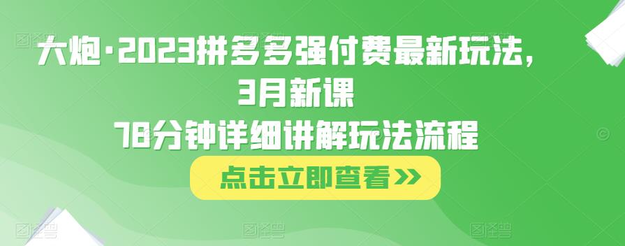 大炮·2023拼多多强付费最新玩法，3月新课​78分钟详细讲解玩法流程-收集菌资源站