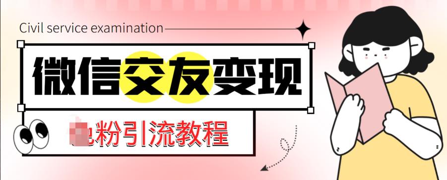 微信交友变现项目，吸引全网LSP男粉精准变现，小白也能轻松上手，日入500+-收集菌资源站