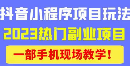 抖音小程序9.0新技巧，2023热门副业项目，动动手指轻松变现-收集菌资源站
