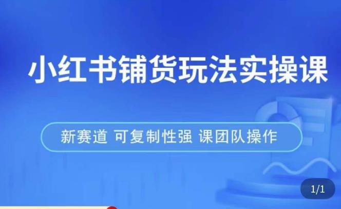 小红书铺货玩法实操课，流量大，竞争小，非常好做，新赛道，可复制性强，可团队操作-收集菌资源站