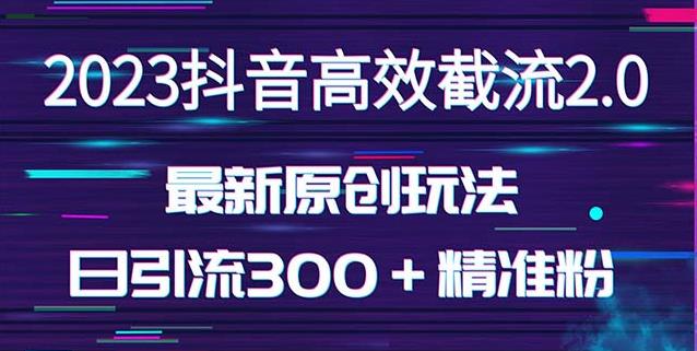 日引300＋创业粉，独家抖音高效截流2.0玩法（价值1280）-收集菌资源站
