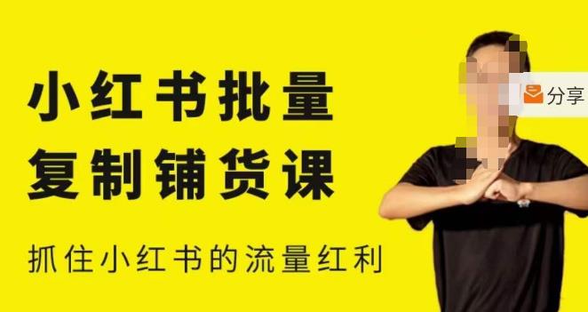 张宾·小红书批量复制铺货课，小红书0-1快速起号变现玩法，抓住小红书的流量红利（更新2023年3月）-收集菌资源站