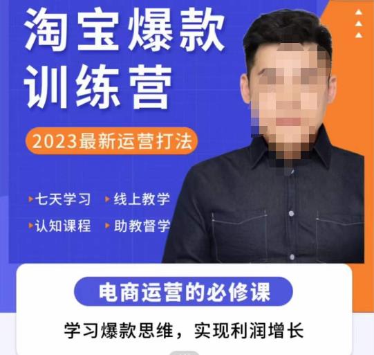 爱上黄昏·淘宝爆款训练营，2023最新运营打法，学习爆款思维，实现利润增长-收集菌资源站