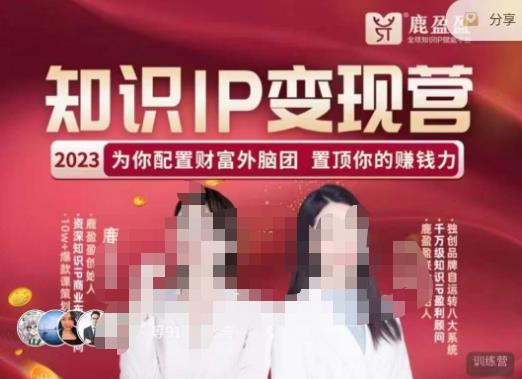 鹿盈盈-知识IP变现实操营，​普通人可复制的知识产品落地实操课，​带你打通知识IP变现底层逻辑-收集菌资源站