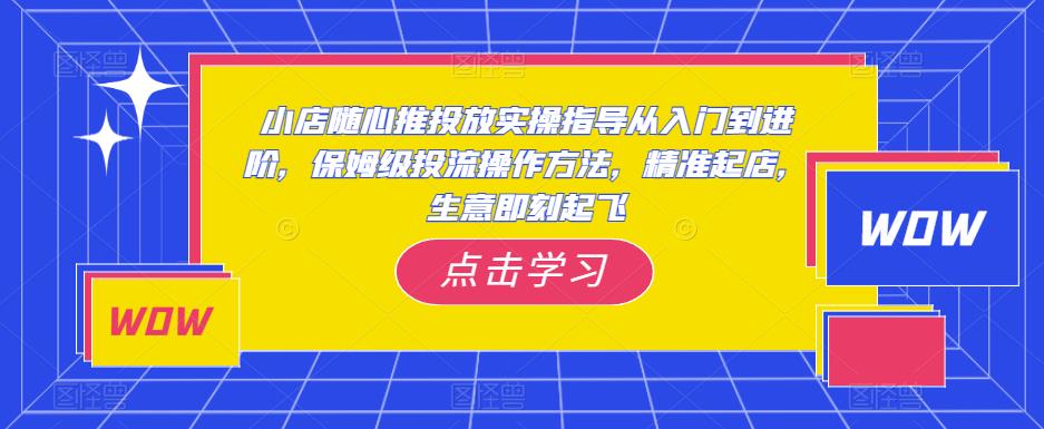 小店随心推投放实操指导从入门到进阶，保姆级投流操作方法，精准起店，生意即刻起飞-收集菌资源站