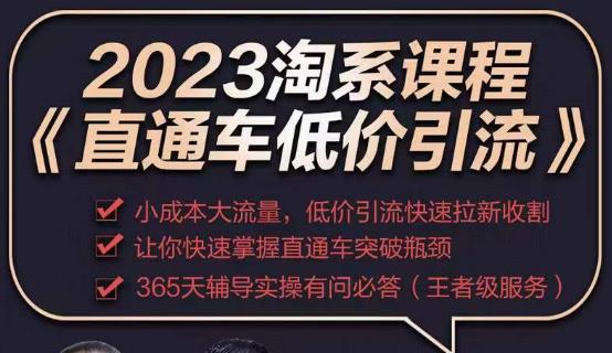 2023直通车低价引流玩法课程，小成本大流量，低价引流快速拉新收割，让你快速掌握直通车突破瓶颈-收集菌资源站