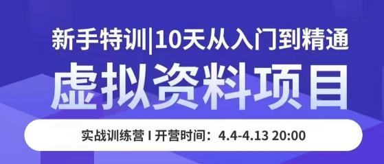 虚拟资料项目新手特训，10天从入门到精通，保姆级实操教学-收集菌资源站