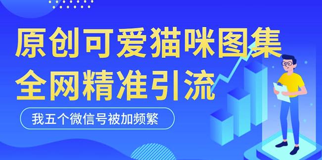 黑科技纯原创可爱猫咪图片，全网精准引流，实操5个VX号被加频繁-收集菌资源站