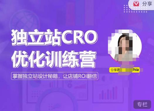独立站CRO优化训练营，掌握独立站设计秘籍，打造高转化的独立站，让店铺ROI翻倍-收集菌资源站